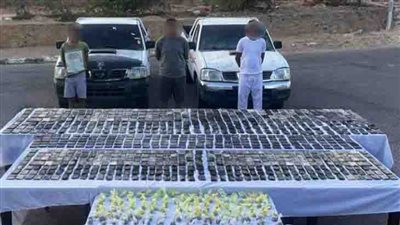 ضبط تشكيل عصابي بجنوب سيناء تخصص في جلب المخدرات بقيمة تجاوزت 3 ملايين جنيه