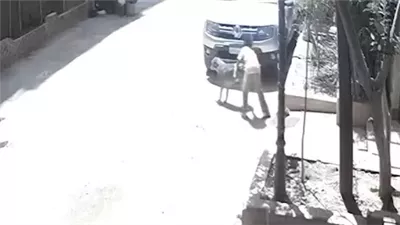 التحرش بكلبة في حدائق الأهرام يشعل مواقع التواصل والشرطة تضبط المتهم وتحقق مع ناشرة الفيديو