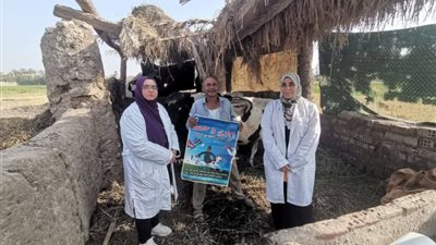 تحصين 568 ألف ماشية ضد مرضى الحمى القلاعية والوادي المتصدع بالشرقية 