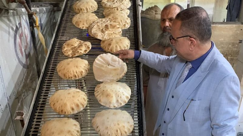 حملات تموينية بالدقهلية،