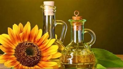 فوائد زيت عباد الشمس، يخفض الكوليسترول ويقوي المناعة ويحسن الذاكرة 
