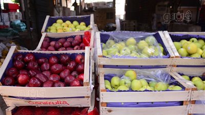 ارتفاع أسعار فاكهة الصيف من سوق الساحل، والتجار: التصدير سبب الغلاء (فيديو وصور)