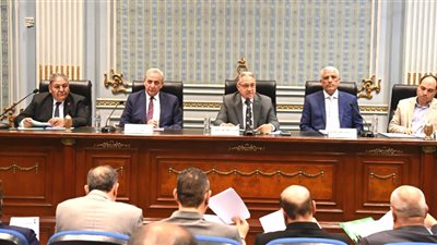 محافظ الغربية يكشف خطوات توفير ظهير صحراوي للمحافظة 