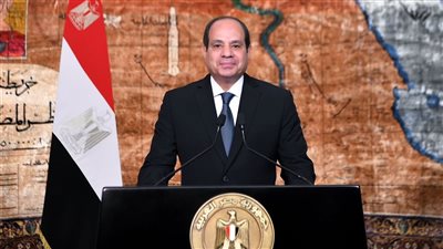  السيسي: حل الدولتين هو المسار الذي سيسمح بإنهاء الصراع في الشرق الأوسط