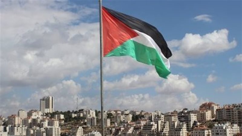 فلسطين، فيتو