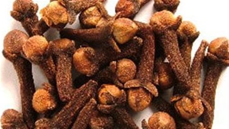 القرنفل 