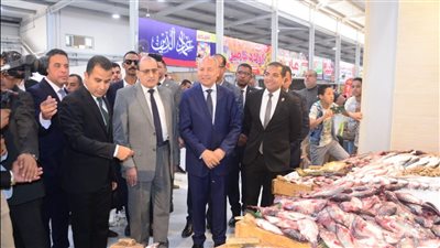 محافظ القاهرة يفتتح سوق عبد المجيد محمود (فيديو وصور)