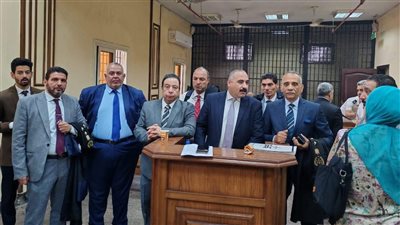 وكيل المحامين بجنوب الجيزة: أثبتنا الإضراب أمام المحكمة والأعضاء ملتزمون بالقرار 