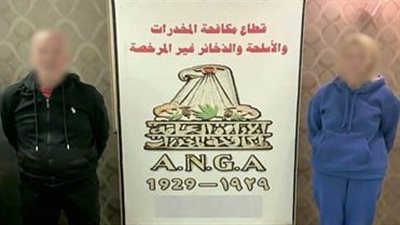 ضبط تشكيلين عصابيين أجانب استخلصا مادة فعالة من أقراص طبية تتحول إلى مخدر الآيس