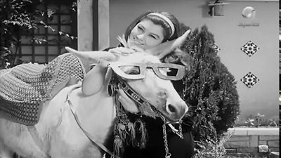 في يومه العالمي، كيف ظهر الحمار في الأعمال الفنية؟