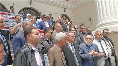 إضراب عشرات المحامين بمقر مجمع محاكم بنها بالقليوبية 