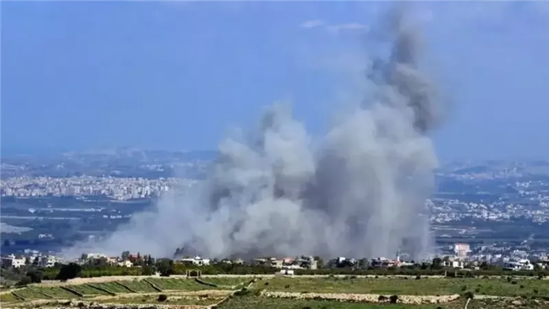 جنوب لبنان، فيتو