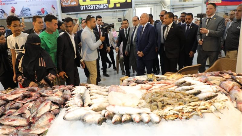 محافظ القاهرة يفتتح