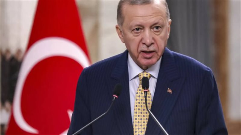 اردوغان، فيتو