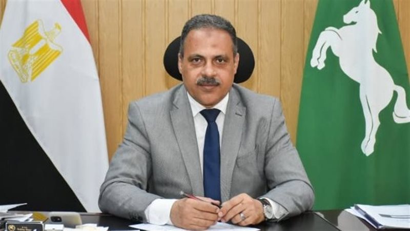 محافظ الشرقية