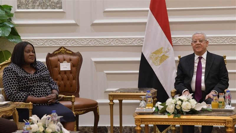 استقبال حنفي جبالي