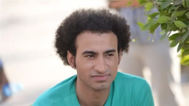 علي ربيع، فيتو