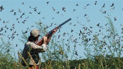 تفسير حلم صيد العصافير في المنام وعلاقته بالسعي وراء أمور مادية