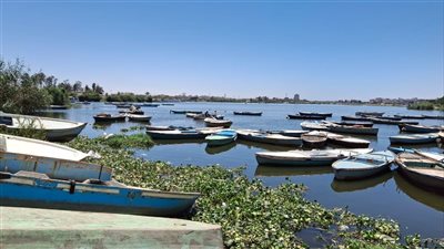 إدارة شئون البيئة بالإسماعيلية تعقد حلقات حوارية للصيادين ببحيرة التمساح (صور)