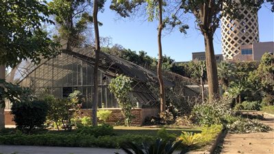 تفاصيل مسابقة الفنون التشكيلية لتصميم شعار وهوية حديقة الزهرية بالزمالك