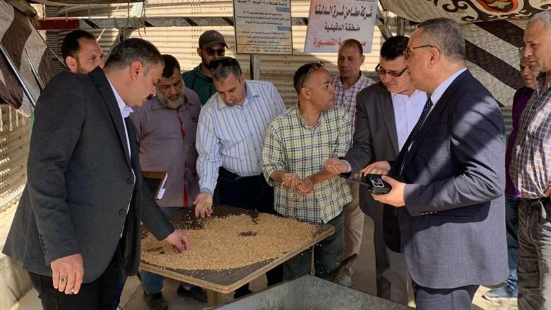 توريد القمح بالدقهلية،