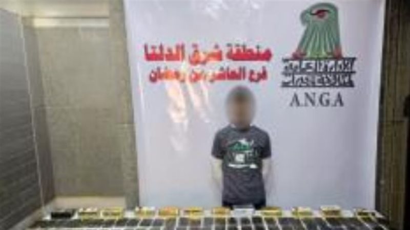 ضبط عناصر إجرامية