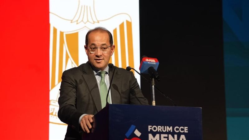 وزير المالية أحمد