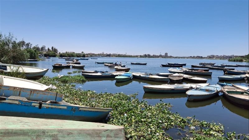 بحيرة التمساح في