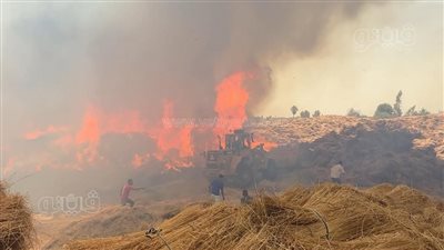 كلاكيت تاني مرة، حريق جديد يلتهم شونة كتان في نفس اليوم بالغربية (فيديو)
