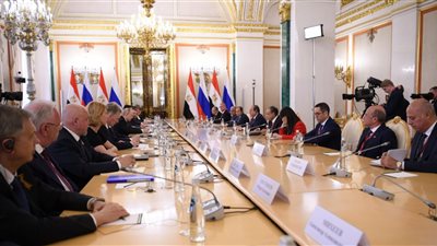 محطة الضبعة والمنطقة الصناعية الروسية، السيسي يشيد بالشراكة الاستراتيجية الشاملة مع موسكو