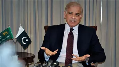 رئيس وزراء باكستان يصل شرم الشيخ للمشاركة في قمة السلام بشأن غزة