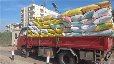 توريد 96 ألف طن قمح لمطاحن البحيرة 