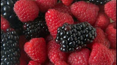 التوت يمنع الارتفاعات المفاجئة بسكر الدم ويحمي من أمراض القلب
