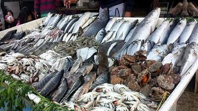  أسعار السمك اليوم، انخفاض البلطي والكابوريا في سوق العبور