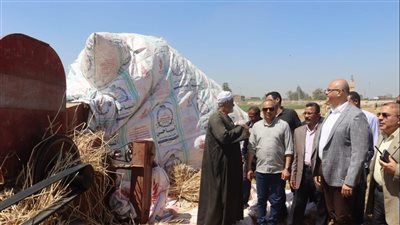 محافظ القليوبية: توريد 41365.906 طن قمح 