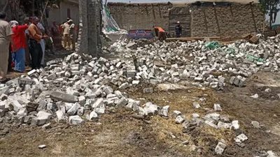 إزالة 9 حالات تعدي على أملاك الدولة والأراضي الزراعية بالشرقية (صور)