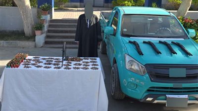 ضبط 119 كيلو مخدرات و64 قطعة سلاح ناري في حملات أمنية بالقليوبية 