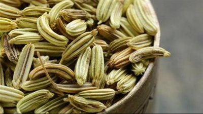  فوائد الشمر، يخفف أعراض سن اليأس ويقلل الكوليسترول بالدم 