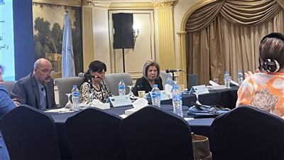 عزة كامل: فلسطين وقّعت على اتفاقية سيداو دون تحفظات ومصر لم توقّع على البروتوكول الاختياري