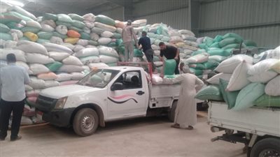 استلام 108 آلاف طن من خلال 37 مركز تجميع بالبحيرة