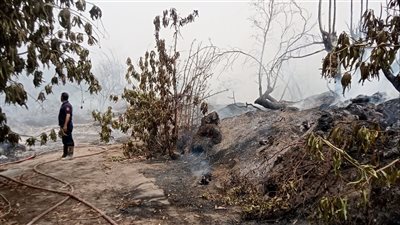نشوب حريق محدود بمحيط مستعمرة الجذام بالقليوبية والحماية المدنية تحاول السيطرة عليه