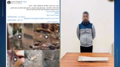 ضبط راعي أغنام اعتدى على كلاب ضالة بعصا مثبت بها مسامير في البحيرة 