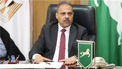 محافظ الشرقية يصدر قرارًا بتكليف رئيس جديد لصان الحجر