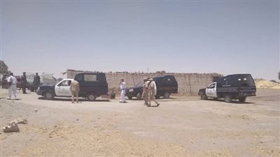 إزالة تعديات على 5 أفدنة ضمن فعاليات الموجة 26 بالوادي الجديد (صور)