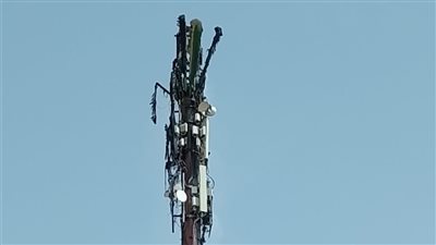 أبرز أقوال الشهود في حريق برج شبكات خلف معهد الأورام بالتجمع