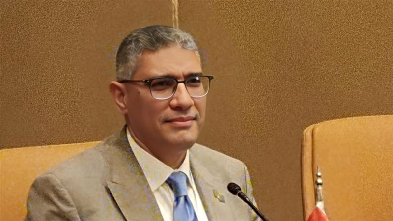 المهندس عادل النجار