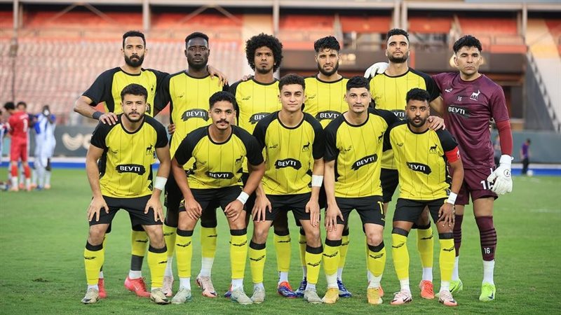 دوري المحترفين 