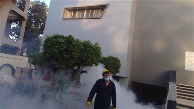 انطلاق حملات وقائية لرش البعوض وناقلات الأمراض بأسيوط (صور)