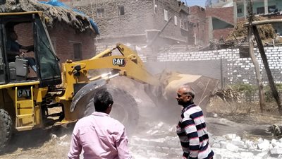 إزالة التعديات على الأراضي الزراعية وأملاك الدولة في الموجة 26 بالدقهلية (صور)