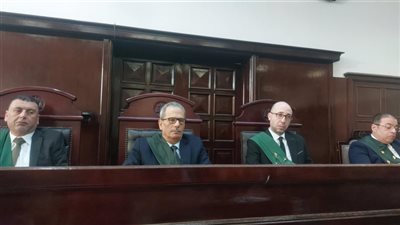 إحالة أوراق المتهم بقتل سيدة بسبب السحر في نبروه إلى المفتي (فيديو)